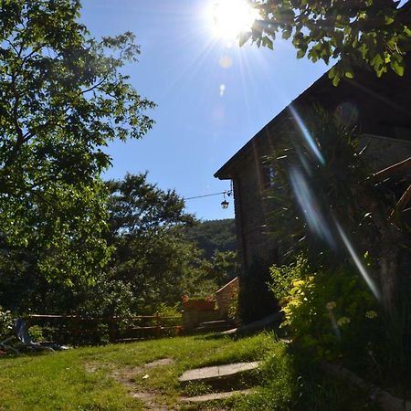 B&B Il Palazzo Sansepolcro Kültér fotó