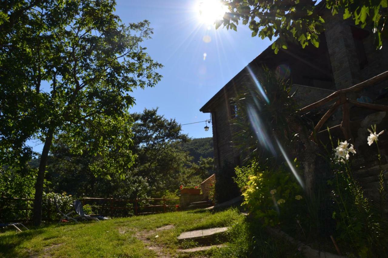 B&B Il Palazzo Sansepolcro Kültér fotó