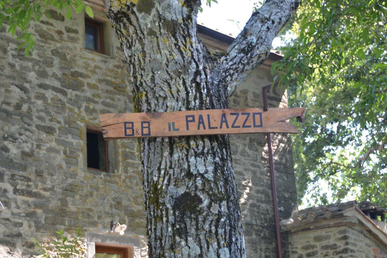 B&B Il Palazzo Sansepolcro Kültér fotó