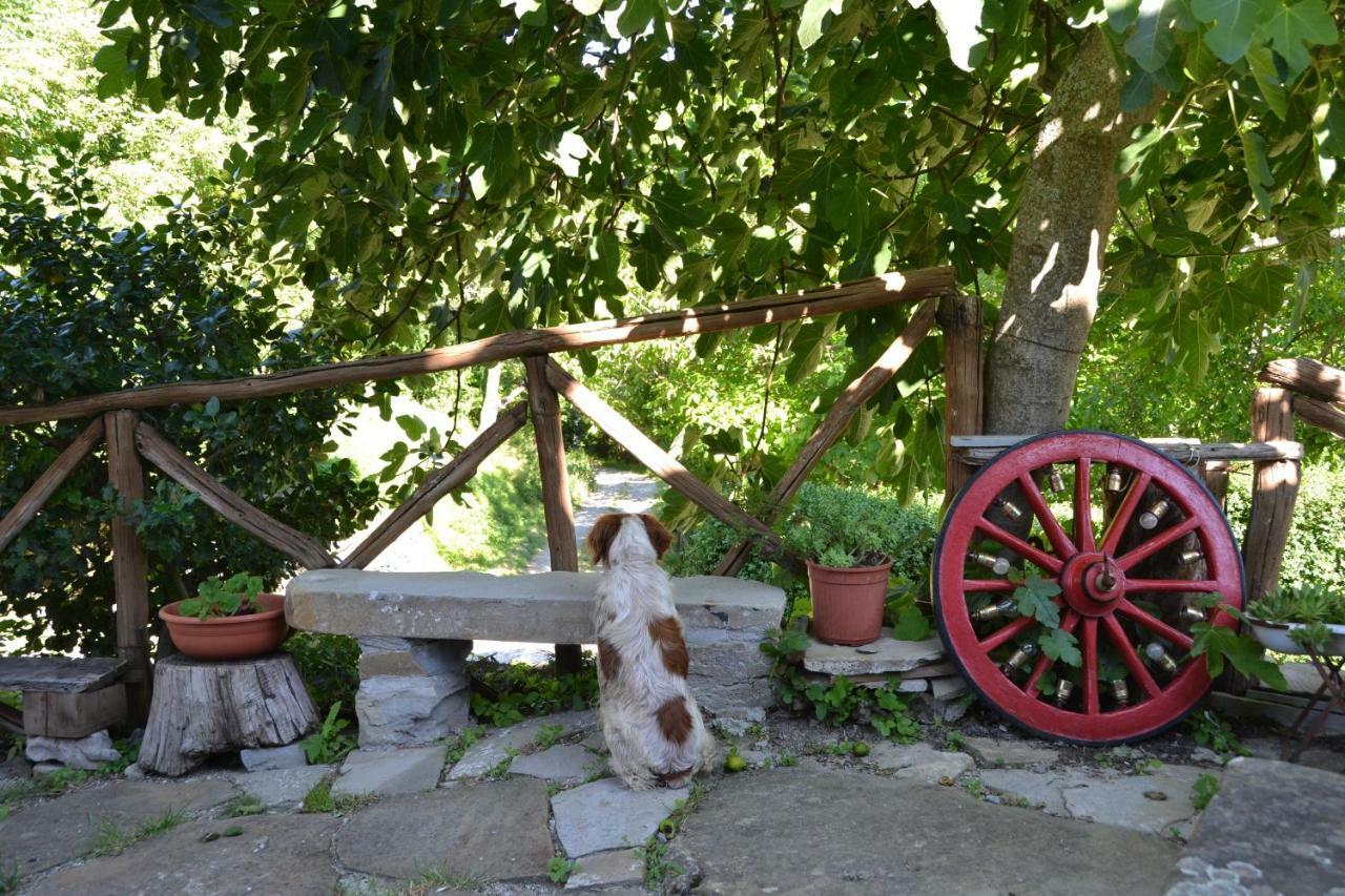 B&B Il Palazzo Sansepolcro Kültér fotó